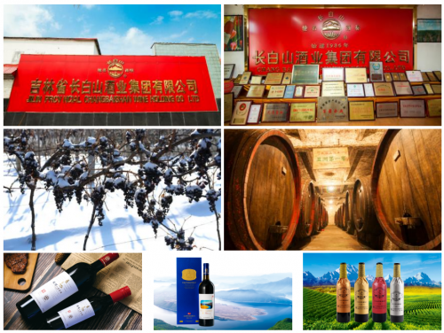 中博会老字号企业展·酒业品牌巡礼 岁月陈酿，香飘盛会
